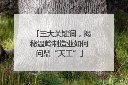 三大关键词，揭秘温岭制造业如何问鼎“天工”