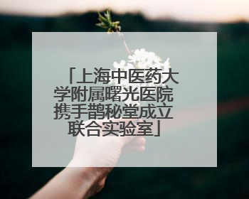 上海中医药大学附属曙光医院携手鹊秘堂成立联合实验室
