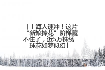 上海人速冲！这片“新娘捧花”阶梯藏不住了，近5万株绣球花如梦似幻