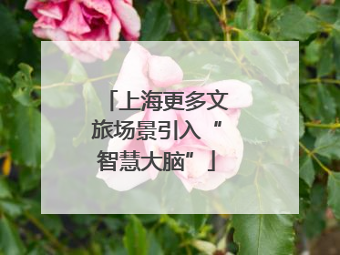 上海更多文旅场景引入“智慧大脑”