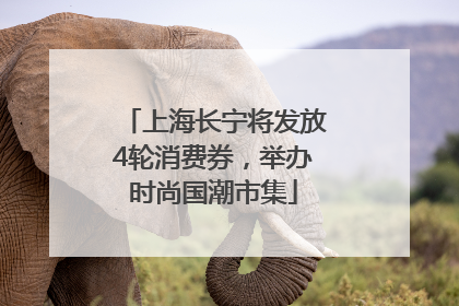 上海长宁将发放4轮消费券，举办时尚国潮市集