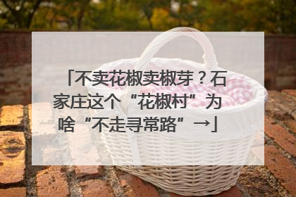 不卖花椒卖椒芽？石家庄这个“花椒村”为啥“不走寻常路”→