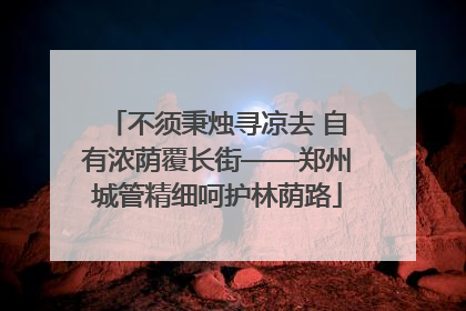 不须秉烛寻凉去 自有浓荫覆长街——郑州城管精细呵护林荫路