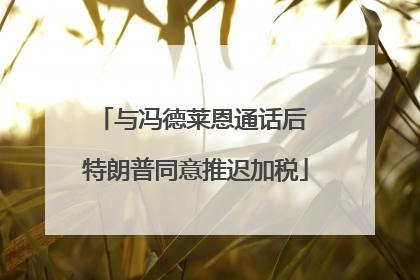 与冯德莱恩通话后 特朗普同意推迟加税