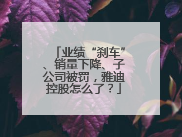 业绩“刹车”、销量下降、子公司被罚，雅迪控股怎么了？