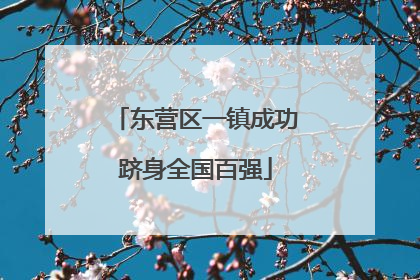 东营区一镇成功跻身全国百强