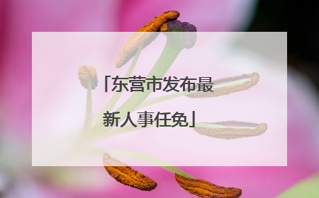 东营市发布最新人事任免