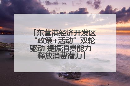 东营港经济开发区“政策+活动”双轮驱动 提振消费能力 释放消费潜力