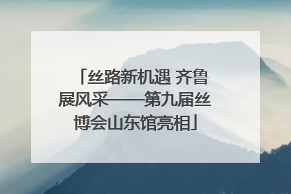 丝路新机遇 齐鲁展风采——第九届丝博会山东馆亮相