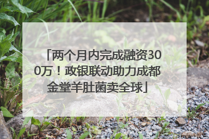 两个月内完成融资300万！政银联动助力成都金堂羊肚菌卖全球