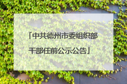 中共德州市委组织部干部任前公示公告