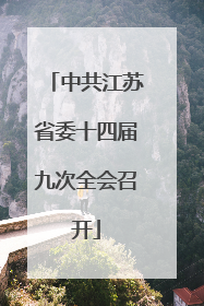 中共江苏省委十四届九次全会召开