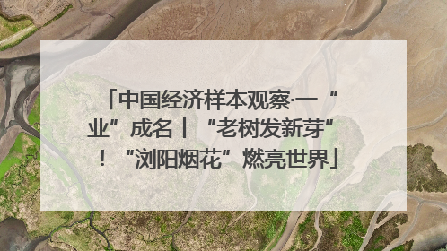 中国经济样本观察·一“业”成名丨“老树发新芽”！“浏阳烟花”燃亮世界