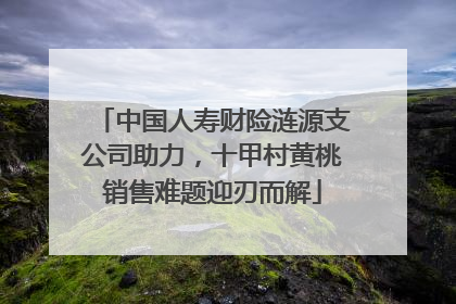 中国人寿财险涟源支公司助力，十甲村黄桃销售难题迎刃而解