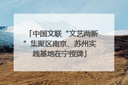中国文联“文艺两新”集聚区南京、苏州实践基地在宁授牌