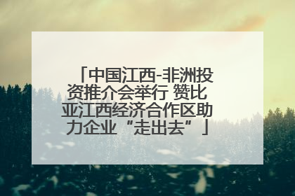 中国江西-非洲投资推介会举行 赞比亚江西经济合作区助力企业“走出去”