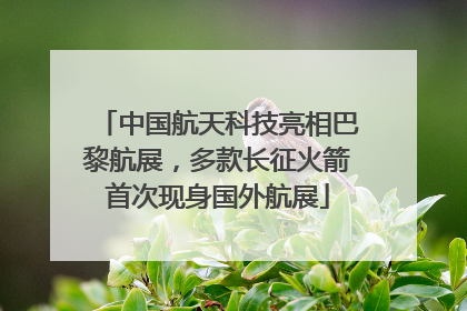中国航天科技亮相巴黎航展，多款长征火箭首次现身国外航展