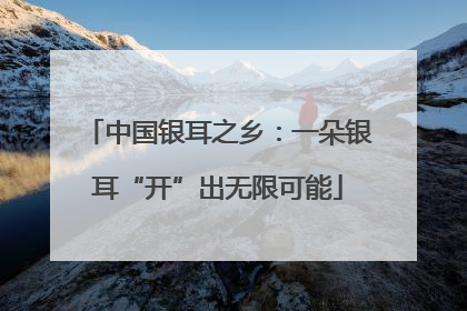 中国银耳之乡：一朵银耳“开”出无限可能