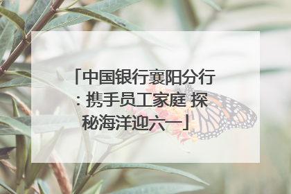 中国银行襄阳分行：携手员工家庭 探秘海洋迎六一