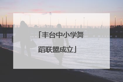 丰台中小学舞蹈联盟成立