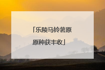 乐陵马铃薯原原种获丰收