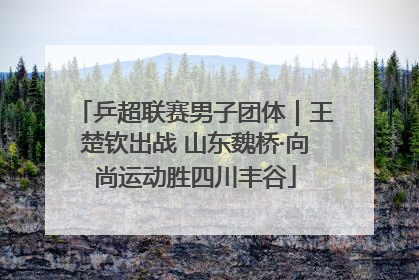 乒超联赛男子团体｜王楚钦出战 山东魏桥·向尚运动胜四川丰谷