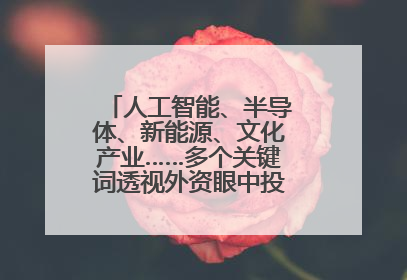 人工智能、半导体、新能源、文化产业……多个关键词透视外资眼中投资中国的新机遇