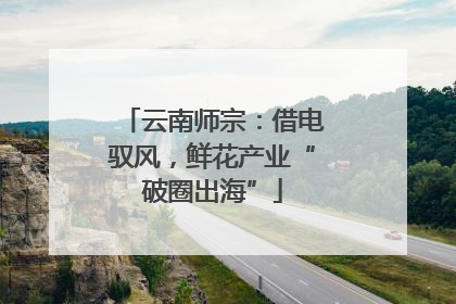 云南师宗：借电驭风，鲜花产业“破圈出海”