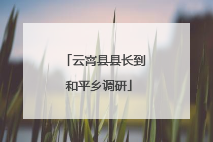 云霄县县长到和平乡调研