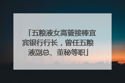 五粮液女高管接棒宜宾银行行长，曾任五粮液副总、董秘等职