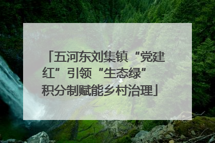五河东刘集镇“党建红”引领“生态绿” 积分制赋能乡村治理
