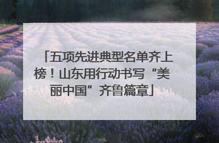 五项先进典型名单齐上榜！山东用行动书写“美丽中国”齐鲁篇章