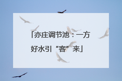 亦庄调节池：一方好水引“客”来