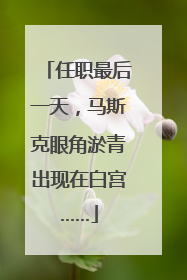 任职最后一天，马斯克眼角淤青出现在白宫……