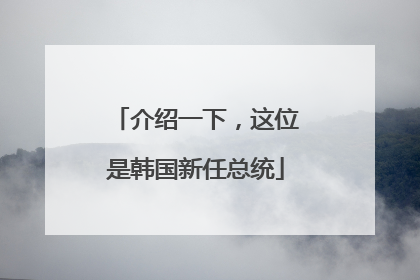 介绍一下，这位是韩国新任总统