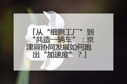 从“细胞工厂”到“共造一辆车”：京津冀协同发展如何跑出“加速度”？