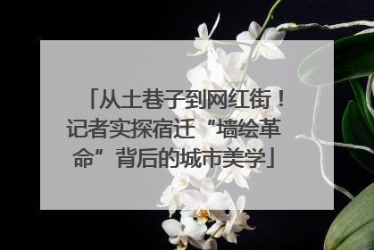 从土巷子到网红街！记者实探宿迁“墙绘革命”背后的城市美学
