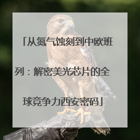从氮气蚀刻到中欧班列：解密美光芯片的全球竞争力西安密码