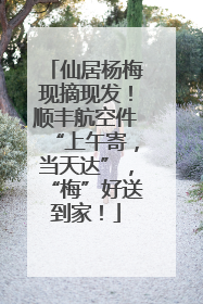 仙居杨梅现摘现发！顺丰航空件“上午寄，当天达”，“梅”好送到家！