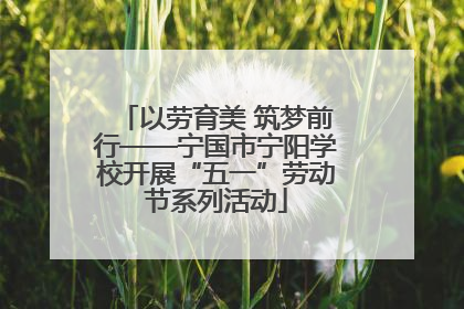 以劳育美 筑梦前行——宁国市宁阳学校开展“五一”劳动节系列活动