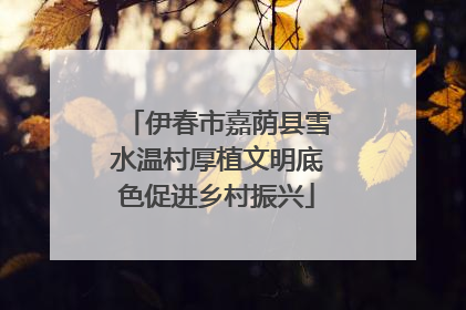 伊春市嘉荫县雪水温村厚植文明底色促进乡村振兴
