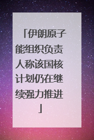 伊朗原子能组织负责人称该国核计划仍在继续强力推进