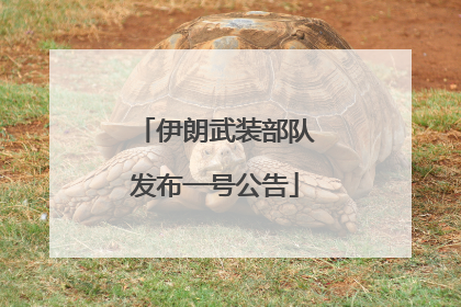 伊朗武装部队发布一号公告
