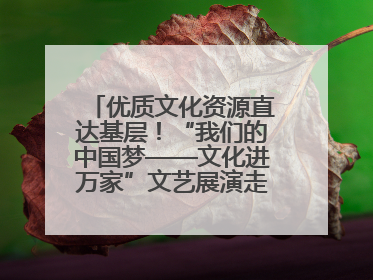 优质文化资源直达基层！“我们的中国梦——文化进万家”文艺展演走进济南市莱芜区