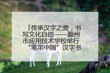 传承汉字之美，书写文化自信——滁州市应用技术学校举行“笔墨中国”汉字书写比赛表彰大会