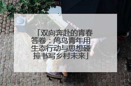 双向奔赴的青春答卷：鸬鸟青年用生态行动与思想碰撞书写乡村未来