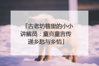 古老坊巷里的小小讲解员：童真童言传递乡愁与乡情