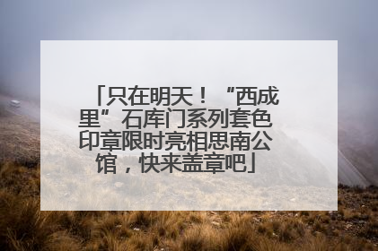 只在明天！“西成里”石库门系列套色印章限时亮相思南公馆，快来盖章吧