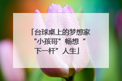 台球桌上的梦想家 “小孩哥”畅想“下一杆”人生