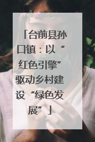 台前县孙口镇：以“红色引擎”驱动乡村建设“绿色发展”